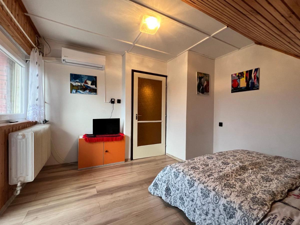 A Festo Vendeghaza / The Painter'S Guest House ซานกา ภายนอก รูปภาพ